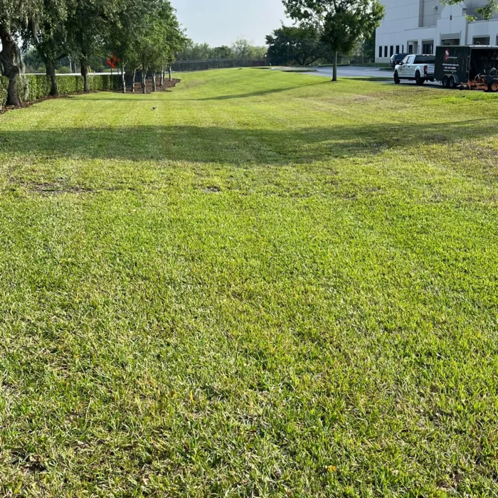 Red Paradise Lawn Care
36732 Alaqua Ct, Eustis, FL 32736, United States
+1 407-947-9504