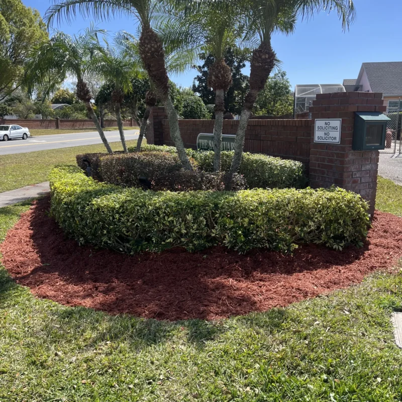 Red Paradise Lawn Care
36732 Alaqua Ct, Eustis, FL 32736, United States
+1 407-947-9504