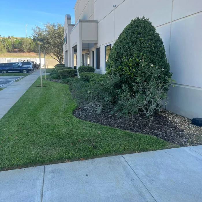 Red Paradise Lawn Care
36732 Alaqua Ct, Eustis, FL 32736, United States
+1 407-947-9504